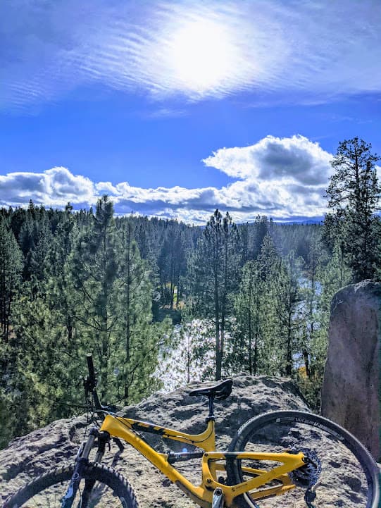Mountain biking on a forest ridge